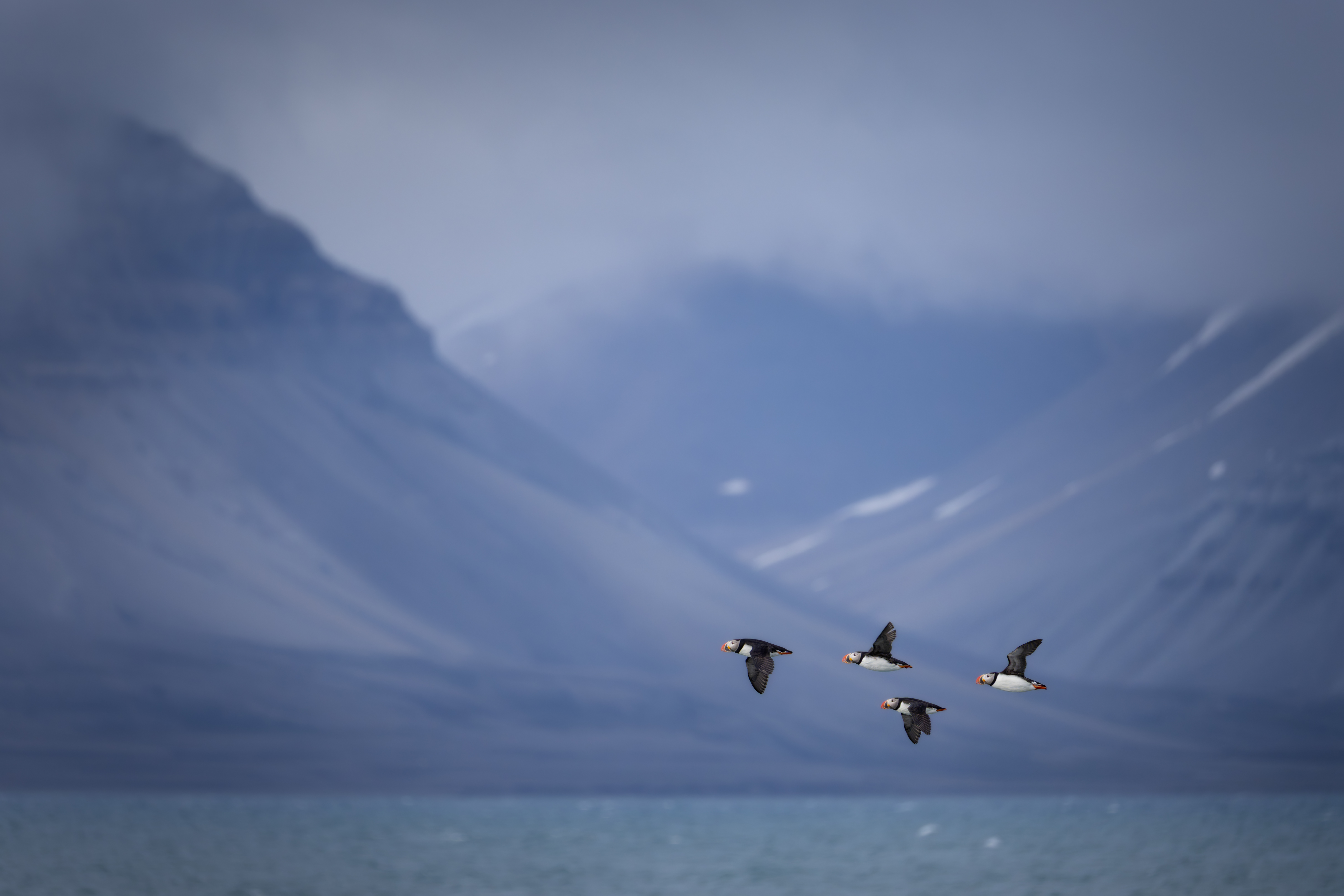 titolo immagine descrizione immagine