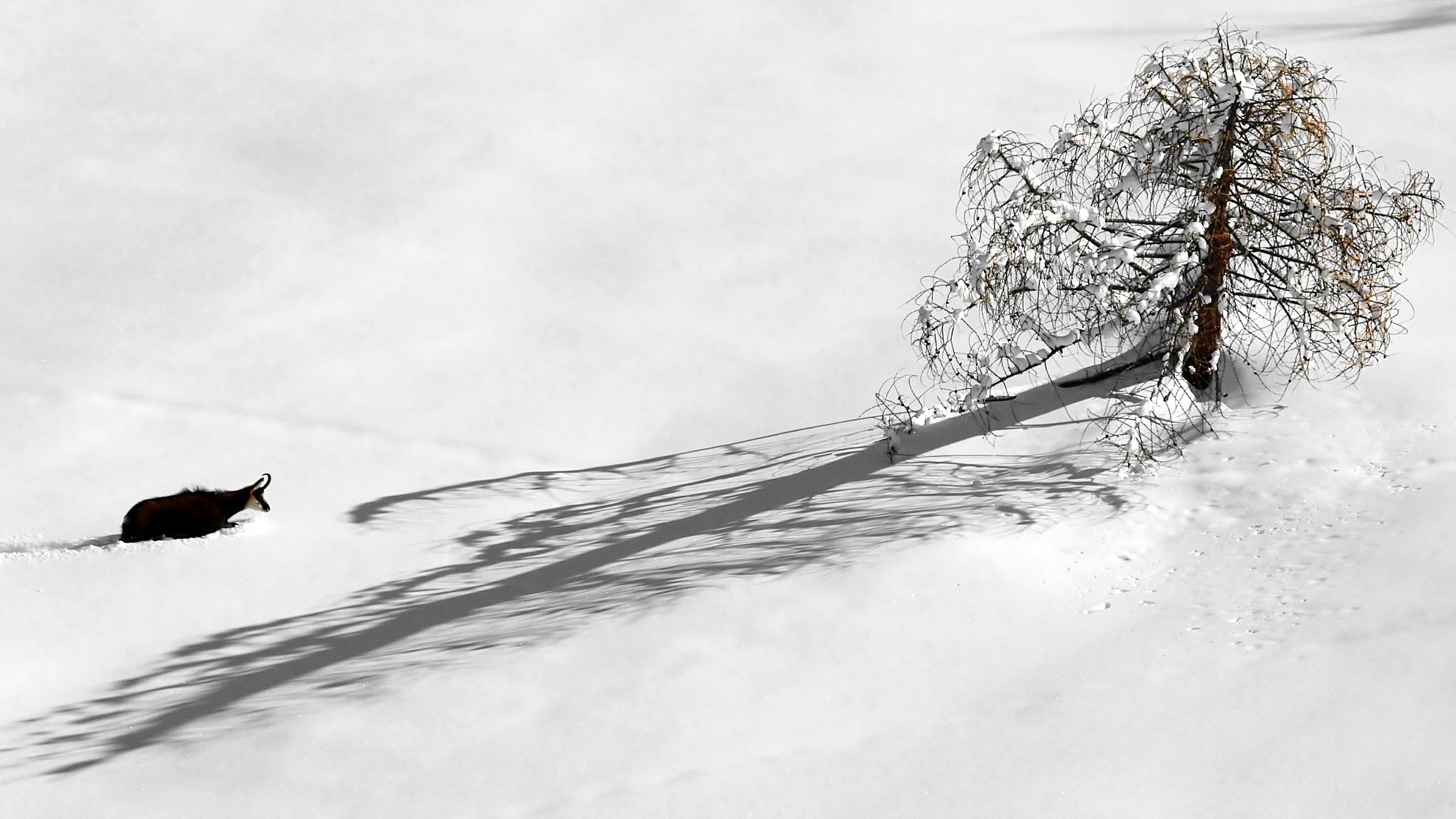 titolo immagine descrizione immagine